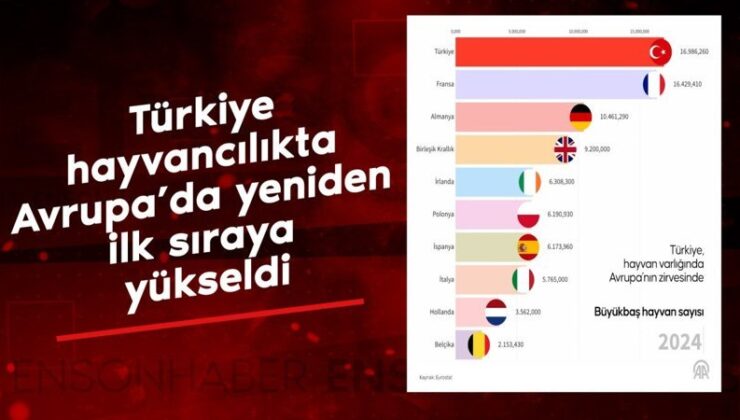 Türkiye hayvancılıkta Avrupa’da yine birinci sıraya yükseldi