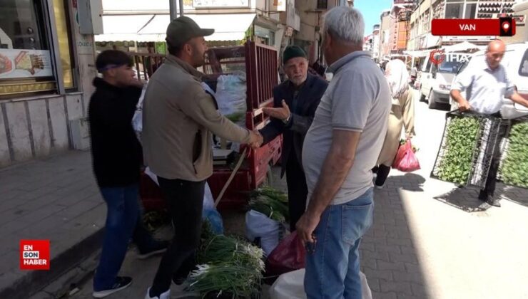 Van’da dağlardan toplanan otlar hem şifa hem yarar sağlıyor