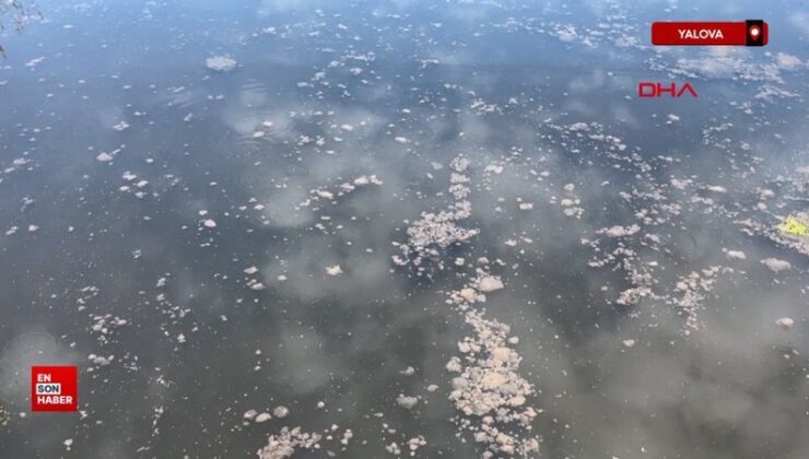 Yalova’da kanalizasyon suyu denize aktı, YASKİ’ye 4 milyon lira ceza yazıldı