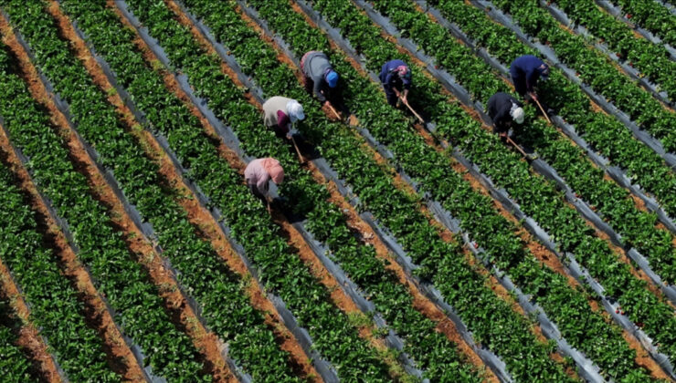Ziraî girdi fiyat endeksi martta artışına devam etti
