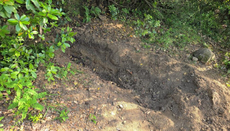 Zonguldak’ta kayıp ihbarı, cinayeti ortaya çıkardı