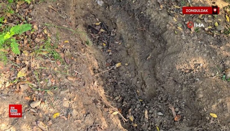 Zonguldak’ta kayıp ihbarı, cinayeti ortaya çıkardı