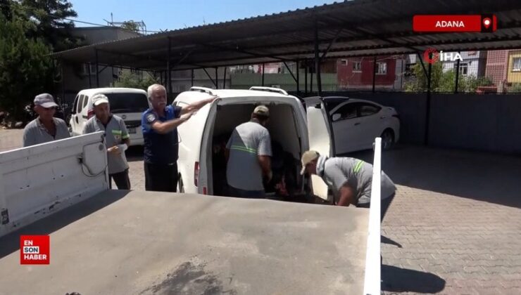 Adana’da 2,5 ton at eti ele geçirildi