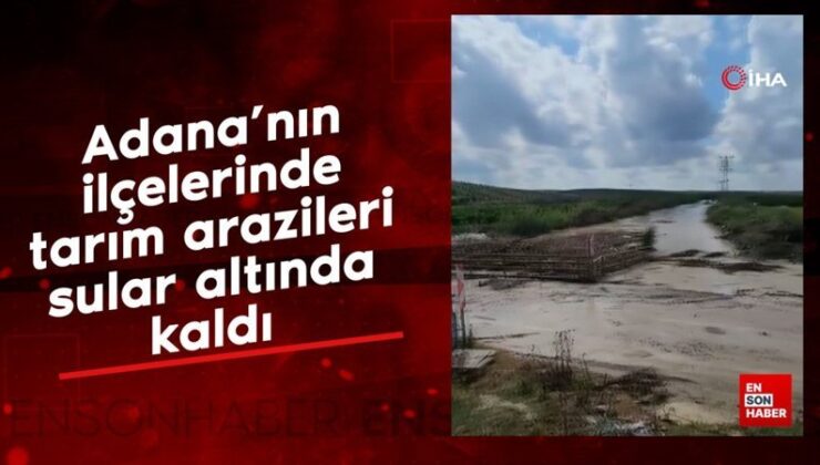 Adana’nın ilçelerinde tarım toprakları sular altında kaldı