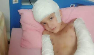 Ankara’da sokak köpeklerinin saldırdığı Tunahan davasında beraat münasebeti açıklandı