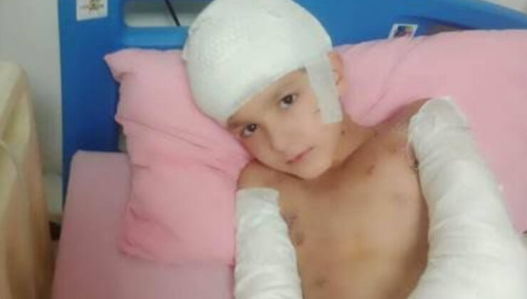 Ankara’da sokak köpeklerinin saldırdığı Tunahan davasında beraat münasebeti açıklandı