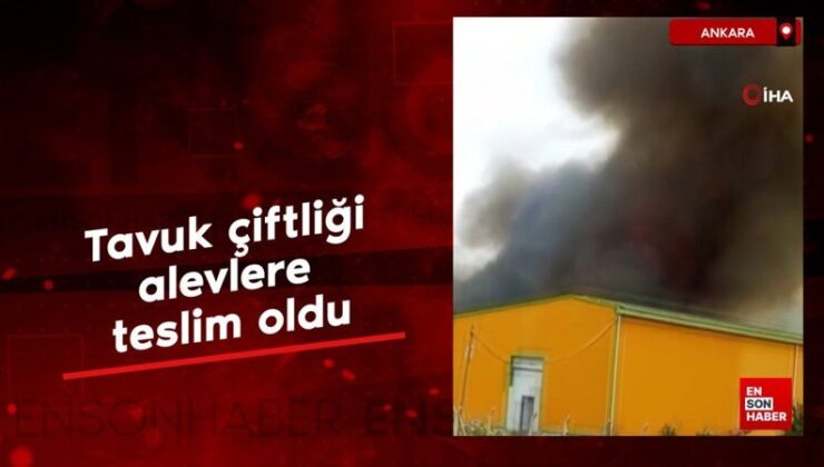 Ankara’da tavuk çiftliği alevlere teslim oldu