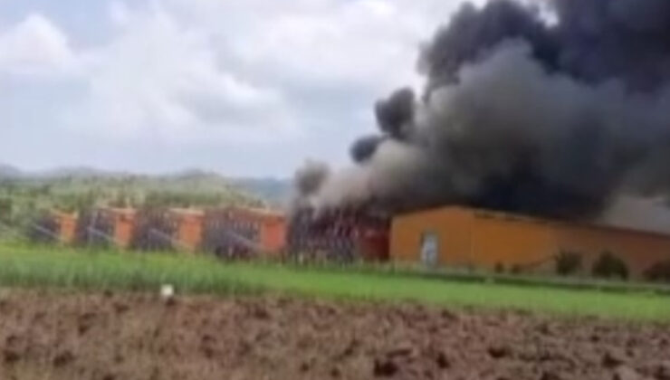 Ankara’da tavuk çiftliğinde yangın