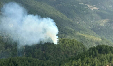 Antalya Kumluca’da orman yangını