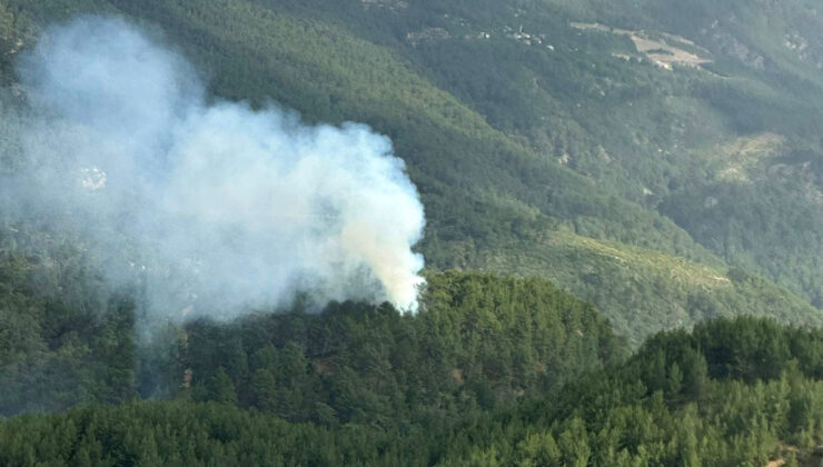 Antalya Kumluca’da orman yangını