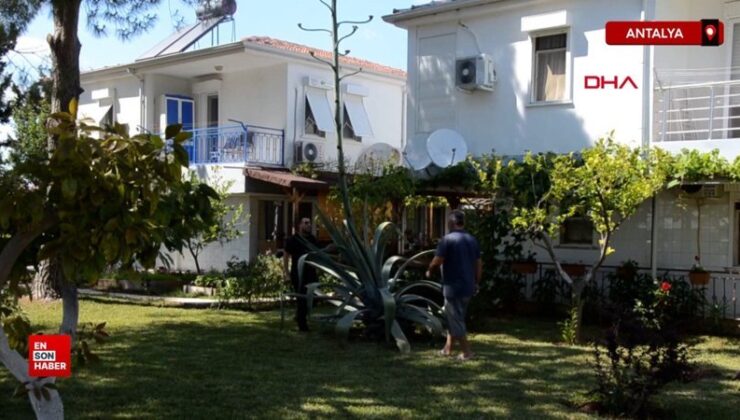 Antalya Serik’te ender görülen Agave ağacı bulundu