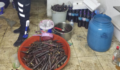 Antalya’da  hijyen skandalı: Ruhsatsız şalgam imalathanesi mühürlendi