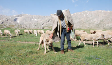 Antalya’da Yörükler yayla yolunda