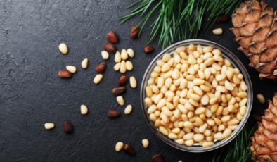 Aydın çam fıstığına AB’den coğrafik işaret tescili