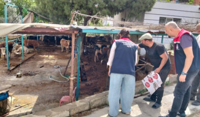Aydın’da kurban satış ve kesim yerlerine kontrol