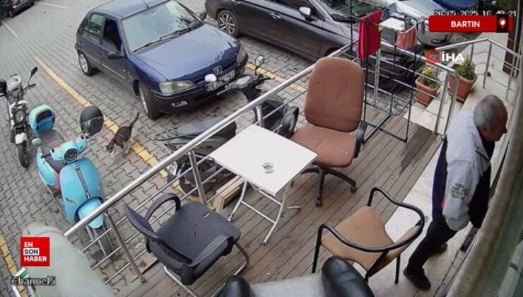 Bartın’da araçlar ortasında gezinen kedi motosikleti devirdi