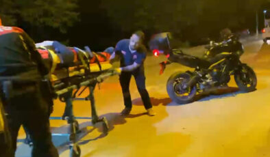 Bartın’da hengame ihbarına giden polislere köpek saldırdı: 2 yaralı