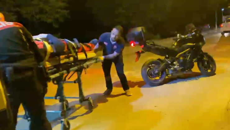 Bartın’da hengame ihbarına giden polislere köpek saldırdı: 2 yaralı