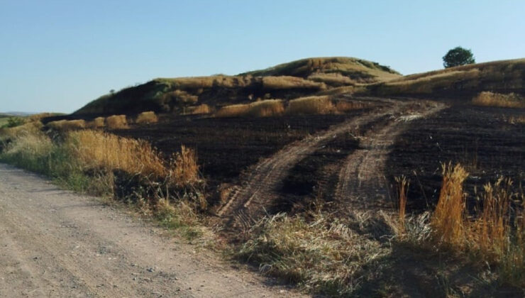 Batman’da soda şişesi 100 dönümlük ekili araziyi küle çevirdi