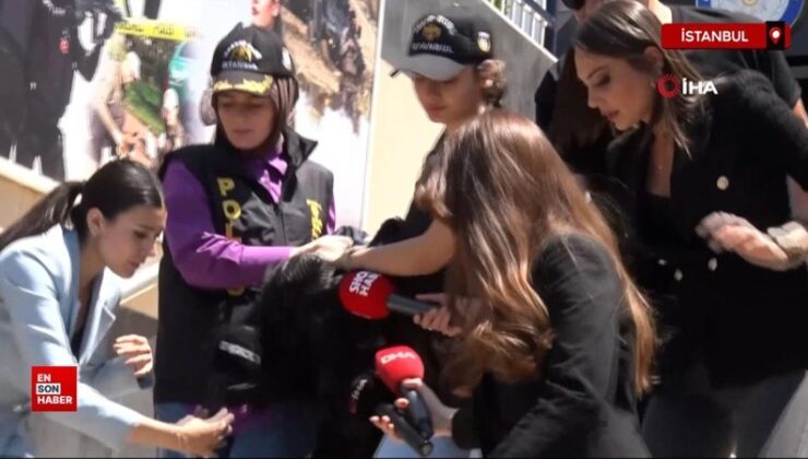 Beşiktaş’ta bayan cinayeti: Demet Çabuk, arkadaşını bıçaklayarak öldürdü