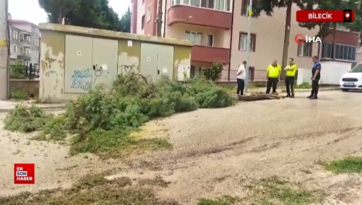 Bilecik’te fırtınada ağaç kısmından son anda kurtuldu