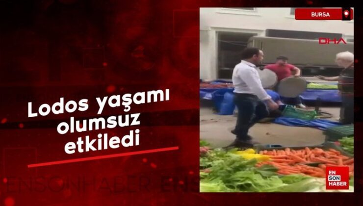 Bursa’da lodos hayatı olumsuz etkiledi