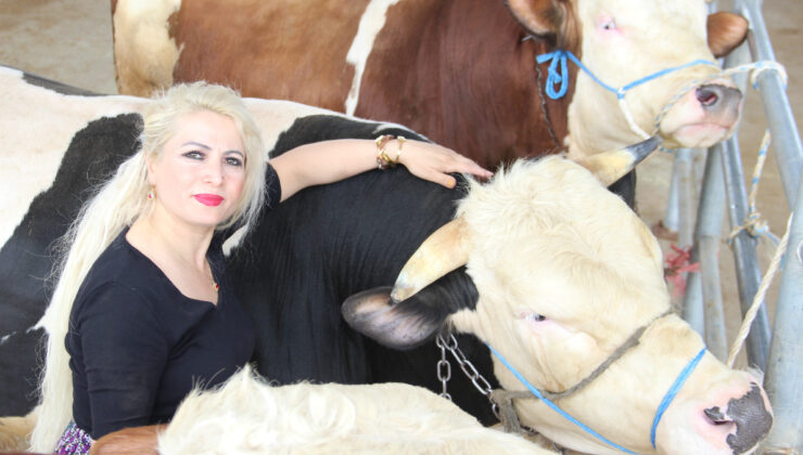 Çorum’da hayvan pazarında bayan gücü