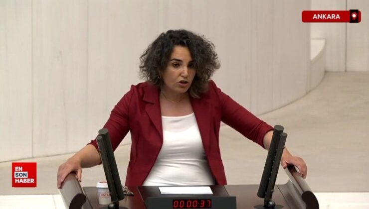 DEM Partili Çiçek Otlu: Trans bayanların hormon ilaçları fiyatsız olsun