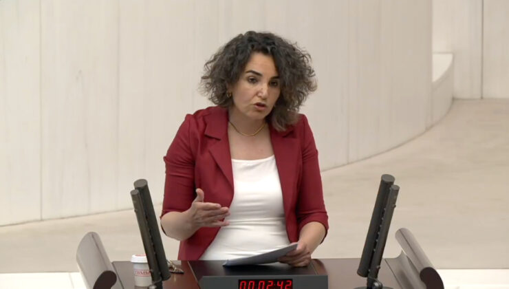 DEM Partili Çiçek Otlu: Trans bayanların hormon ilaçları fiyatsız olsun