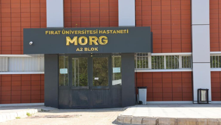 Elazığ’da tabiat yürüyüşünde kayalıktan düşen genç öldü