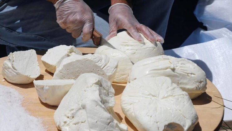 Erzincan tulum peyniri AB’den coğrafik işaret tescili aldı