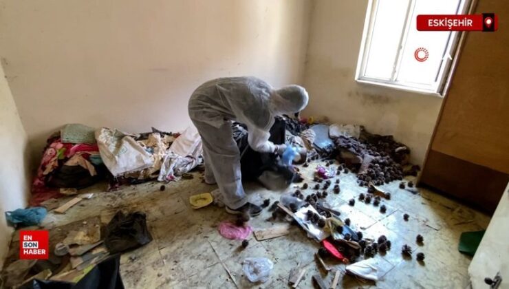 Eskişehir’de 2 yıldır temizlenmeyen konuttan 2 kamyon çöp çıktı