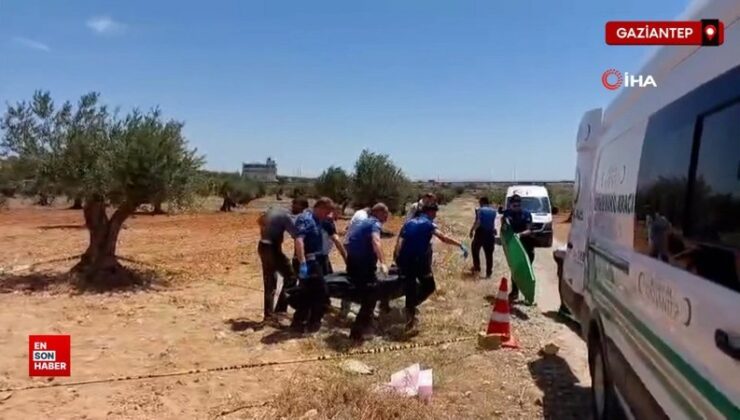 Gaziantep’te bir genç zeytin tarlasında meyyit bulundu
