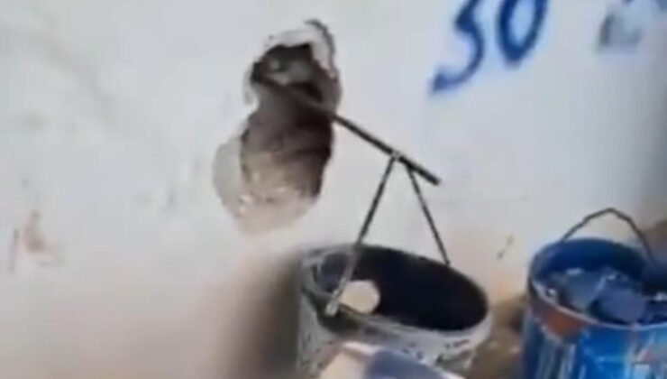 Gaziantep’te kurban satış yerinde kantar hilesi ortaya çıktı