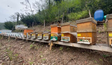 Giresun’da özel üretim ‘deli bal’