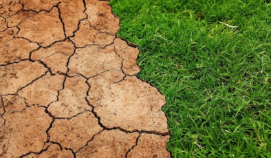 Global iklim kestirimleri, 5 yılda sıcaklıkların rekor düzeylere ulaşacağını öngörüyor