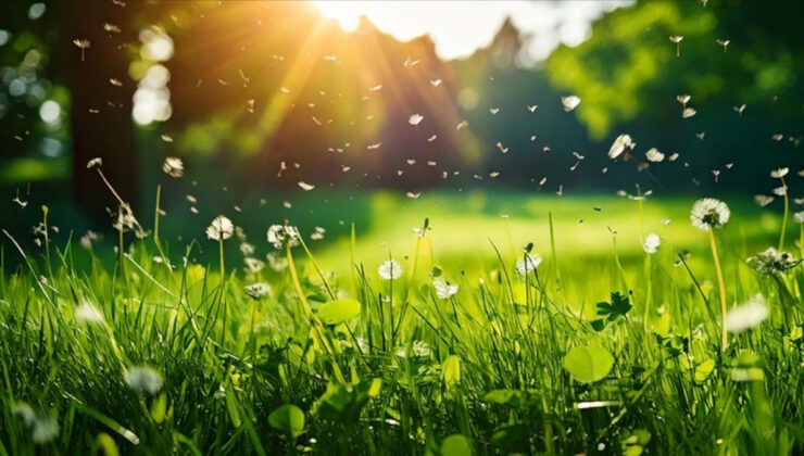 Global sıcaklıklar etkiledi: Polen mevsimi uzadı