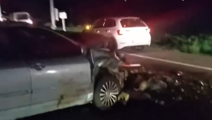 Iğdır’da araba çarpan 25 koyun telef oldu