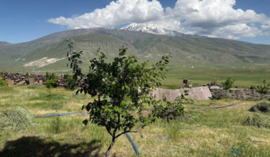 Iğdır’da çorak araziyi yeşil bir cennete dönüştürdü