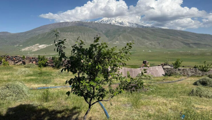Iğdır’da çorak araziyi yeşil bir cennete dönüştürdü
