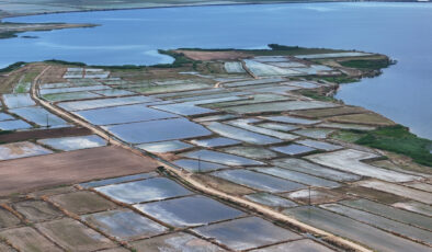 İpsala Ovası’nda çeltik ekimi görsel bir şölene dönüştü