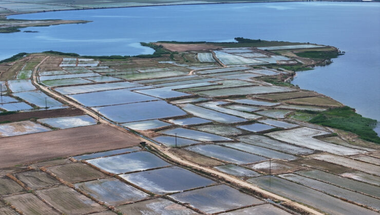 İpsala Ovası’nda çeltik ekimi görsel bir şölene dönüştü