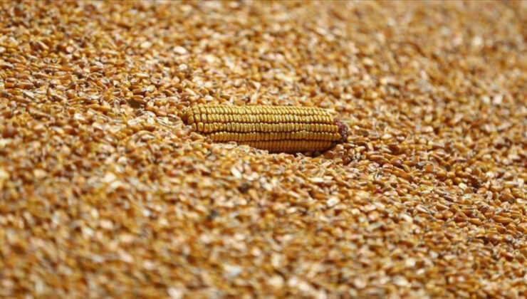 İran 120’şer bin ton yemlik mısır, arpa ve soya küspesi için ihale açtı