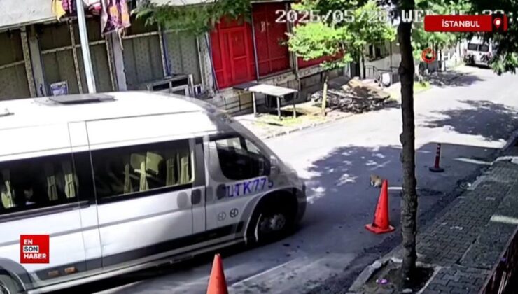 İstanbul’da ihtara karşın kediyi ezip yoluna devam etti
