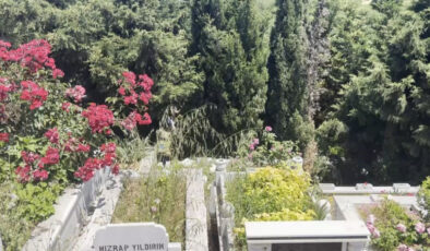 İstanbul’da mezarlıkta bebek cesedi bulundu