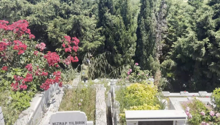 İstanbul’da mezarlıkta bebek cesedi bulundu