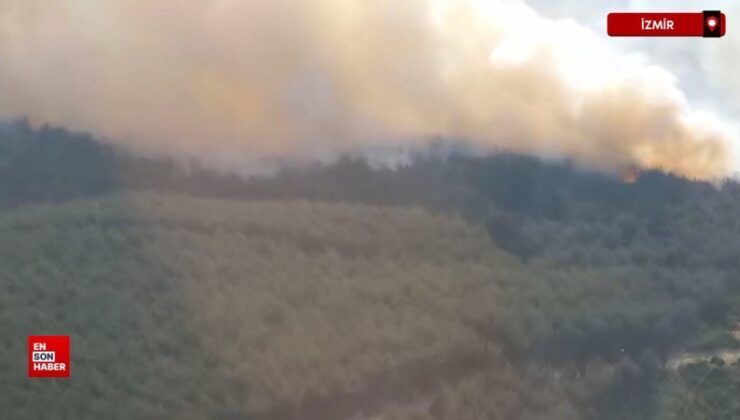 İzmir’de orman yangını