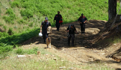 Kazdağları’nda tabiat yürüyüşü faciayla bitti: Vilayet Müdür Yardımcısı Adil Bartu hayatını yitirdi