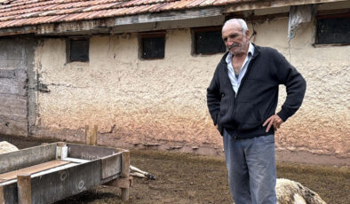 Kırıkkale’de kurtlar ağıla dadandı: 18 küçükbaş telef oldu