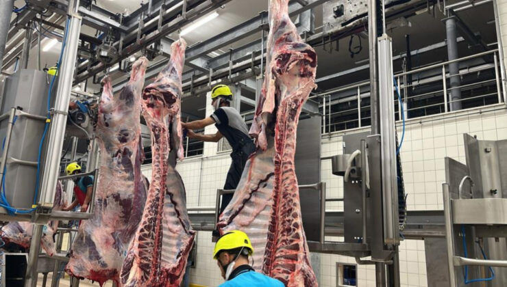 Kurban Bayramı’nda kist hidatik tehlikesi: Sakatatları rastgele atmayın